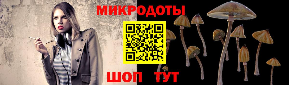 Галлюциногенные грибы GOLDEN TEACHER  Галлюциногенные грибы Magic Shrooms  Вход с VPN  Муром 